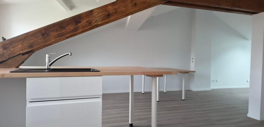 Appartement Rue Grobert à Saint-Étienne