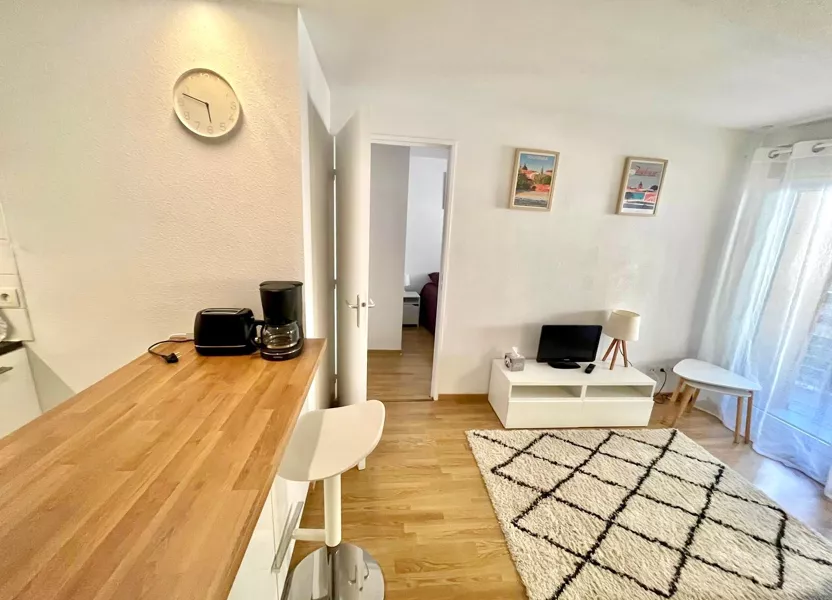 Flat Pont Saint-Pierre in Toulouse
