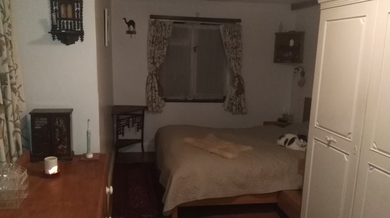 Room Tremlett Grove in Greater London
