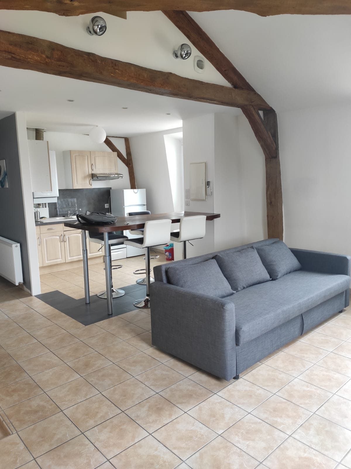 Maison Place Louis Sallé à Olivet