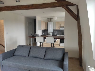 Maison Place Louis Sallé à Olivet