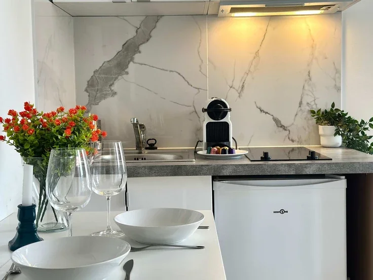 Flat Rue Dupleix in Paris