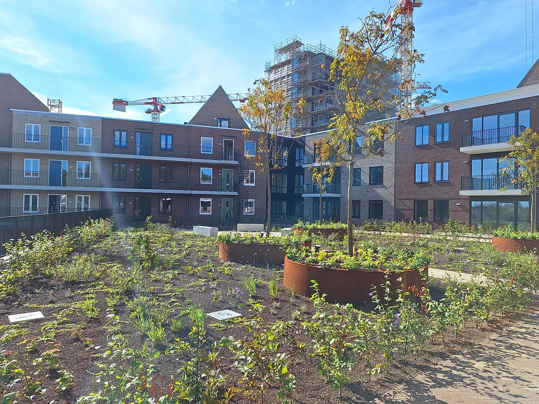 Appartement Timmerrak 13 in Zaandam