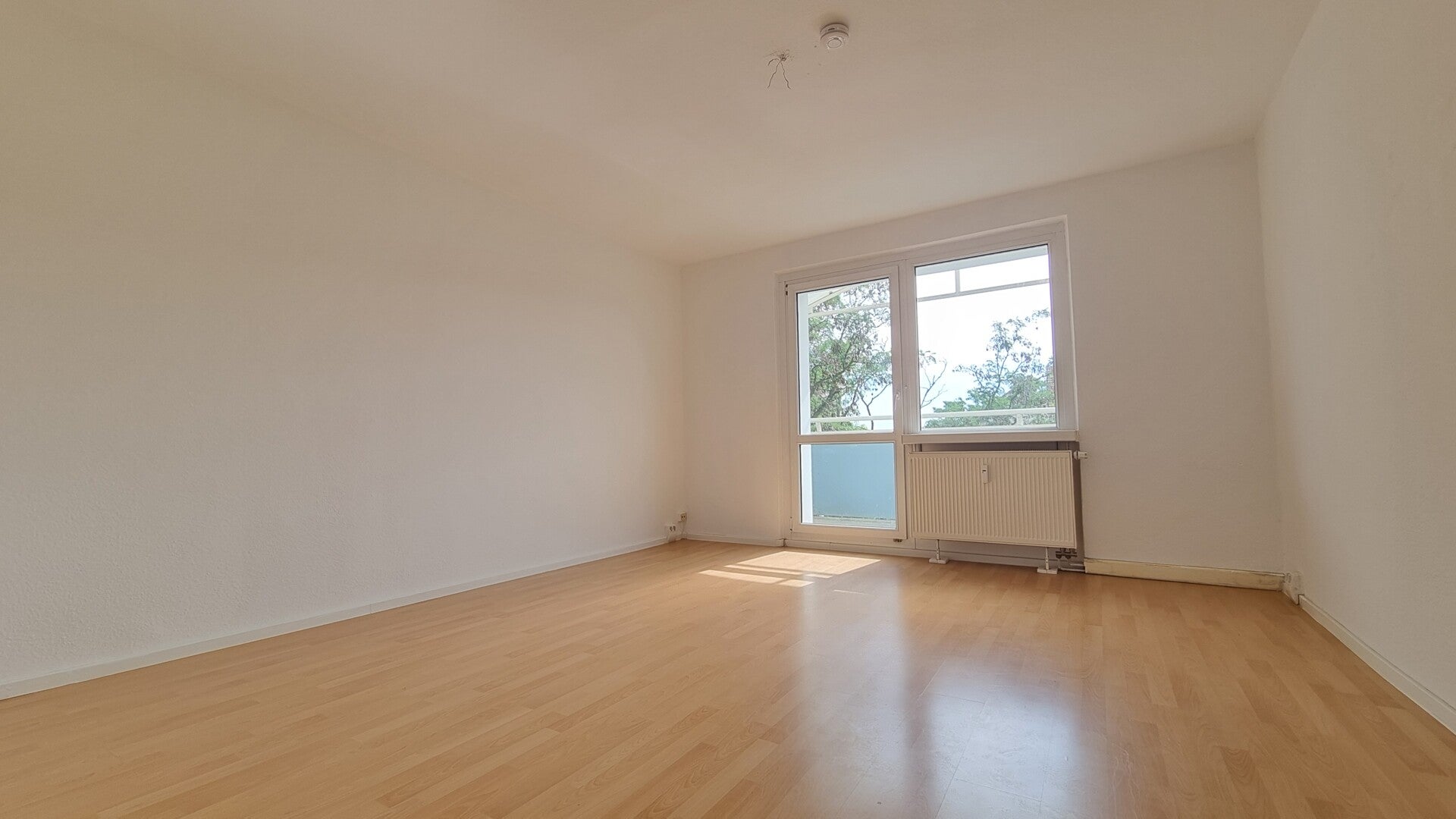 Wohnung Wilischstraße in Dresden