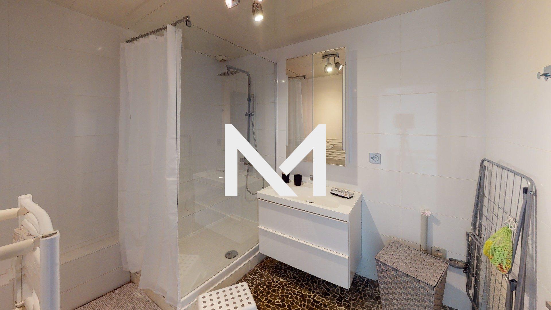 Flat Rue Blanche Monier in Grenoble