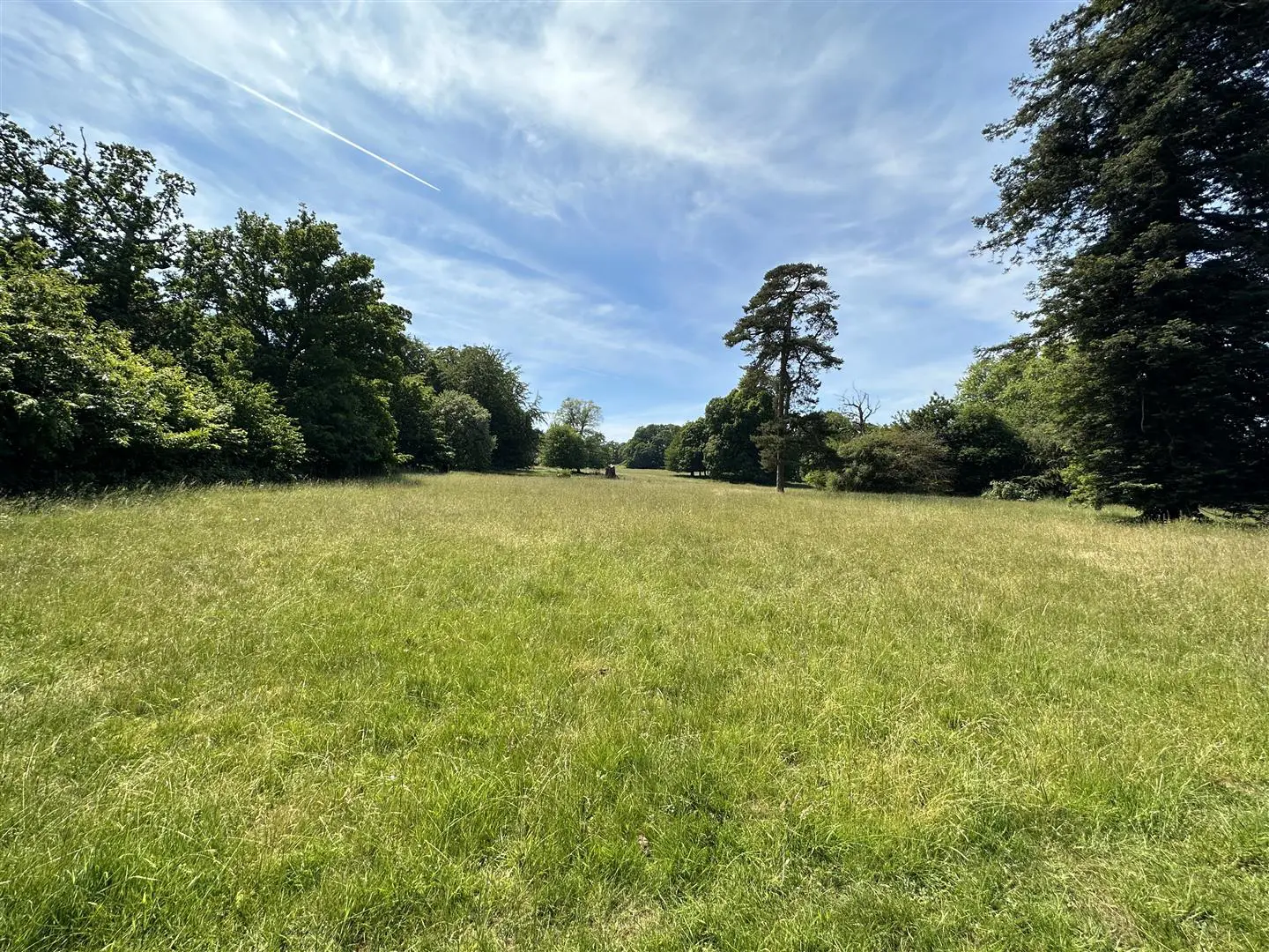 House Lade Wood Hill in Borough of Swale