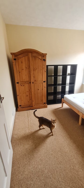 Room Kennington Avenue in Bristol