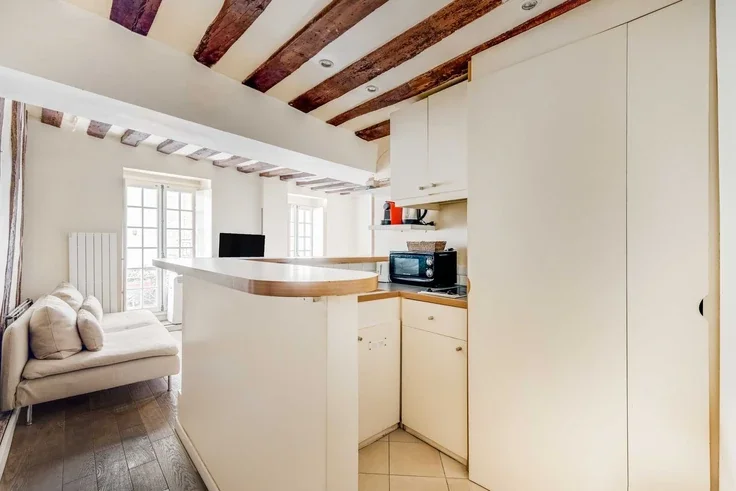 Flat Rue Guisarde in Paris