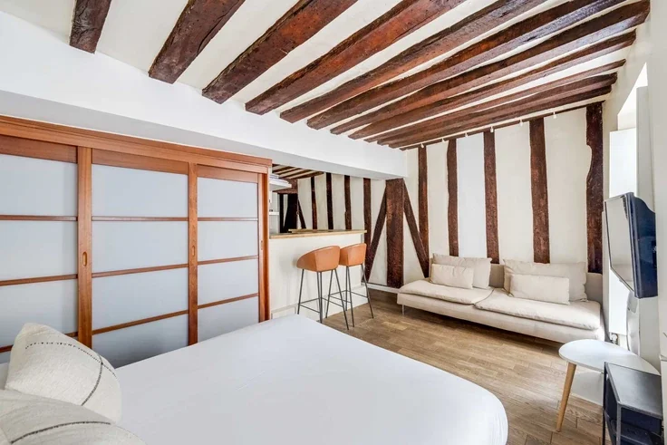 Flat Rue Guisarde in Paris