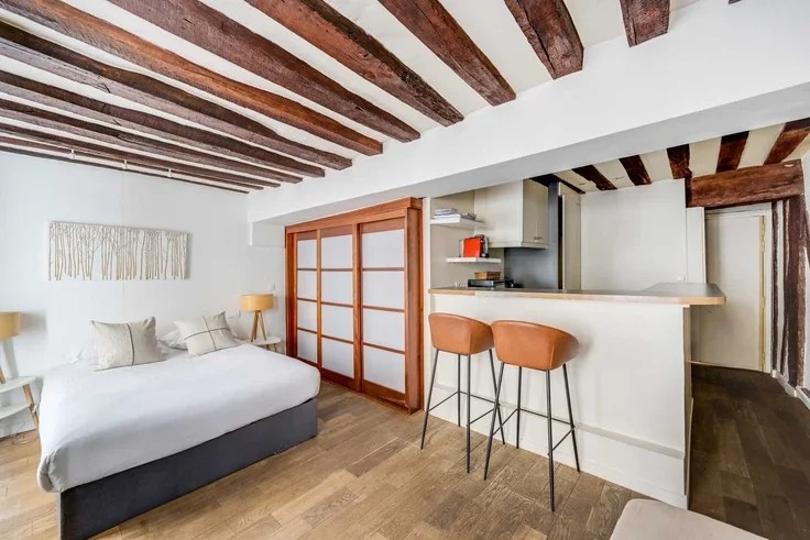 Flat Rue Guisarde in Paris