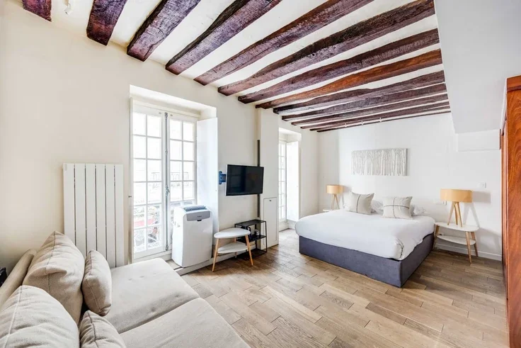 Flat Rue Guisarde in Paris