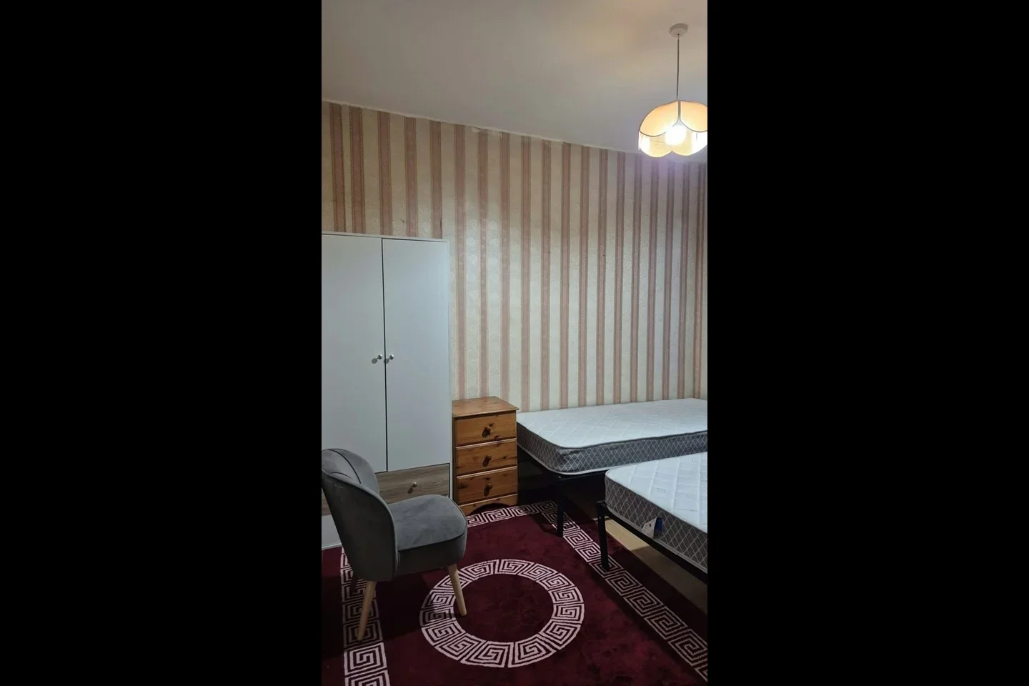 Room Shelley Avenue in Greater London