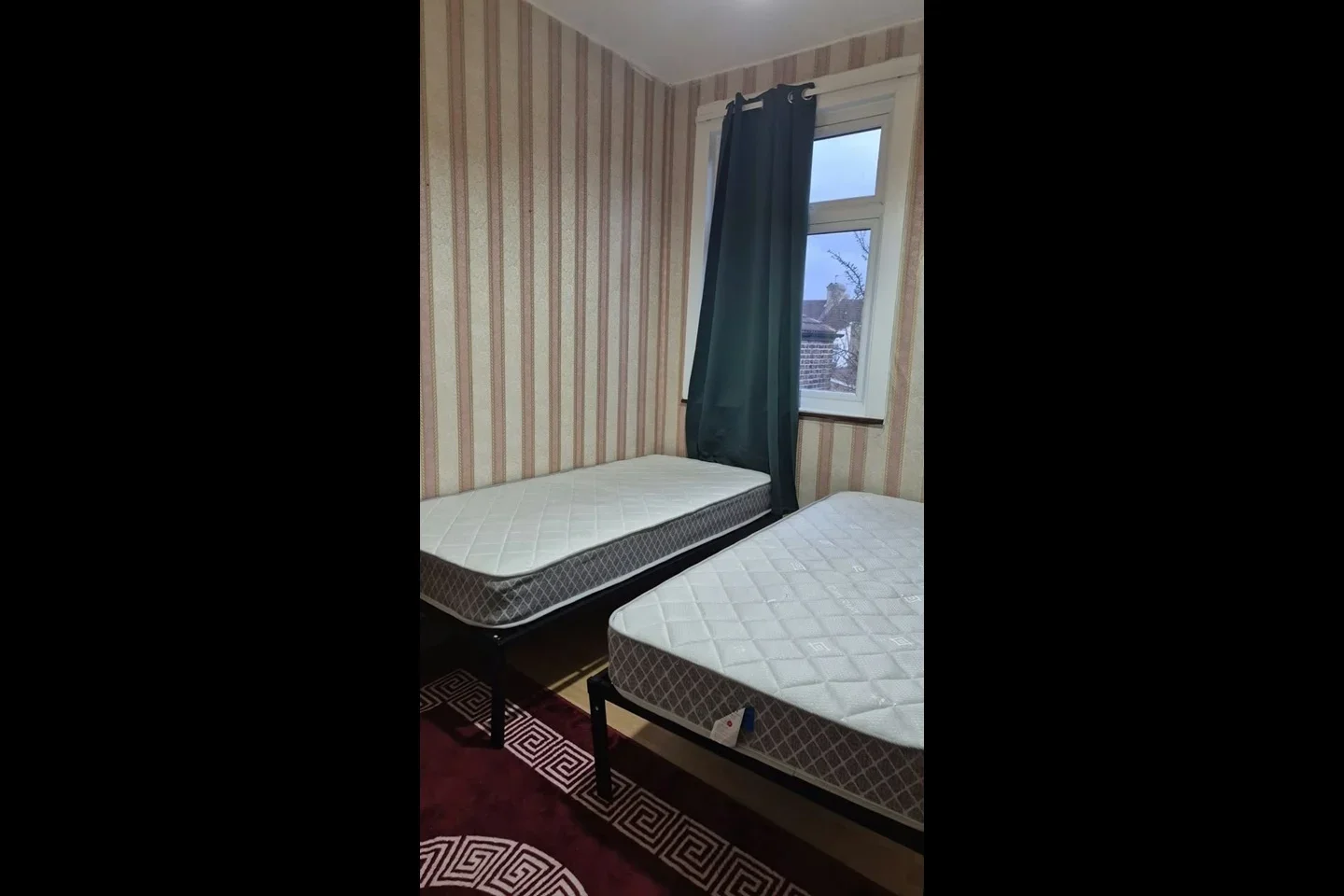Room Shelley Avenue in Greater London