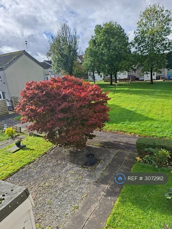 Flat Wellpark Road in Banknock