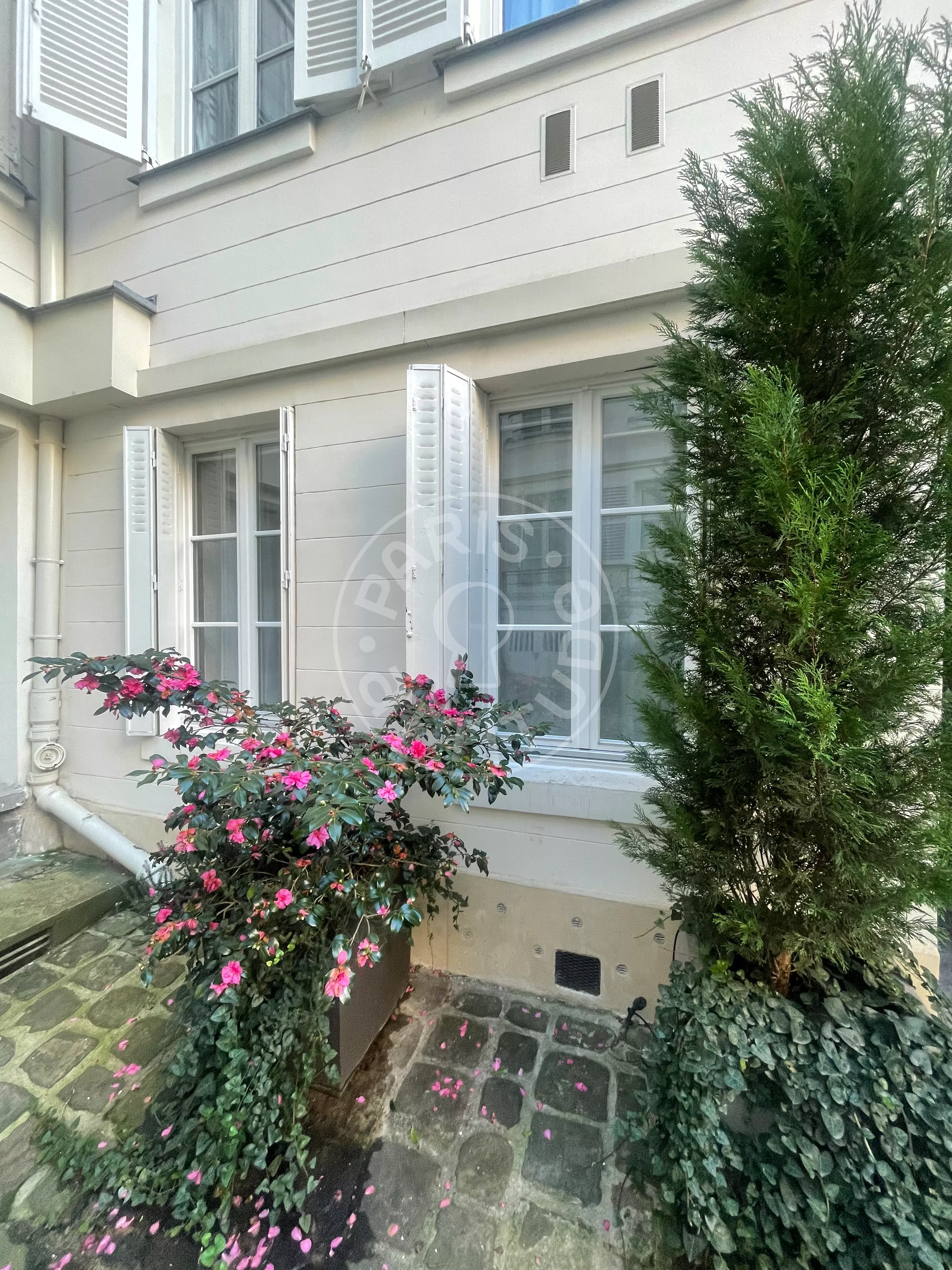 Flat Rue Séguier in Paris