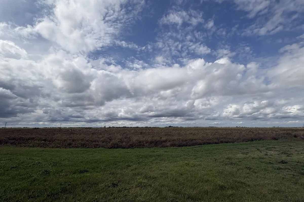 House Day's Lode Road in Fenland District