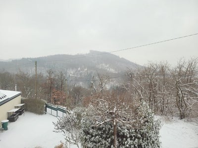 Wohnung Mühlenberg in Bad Münstereifel