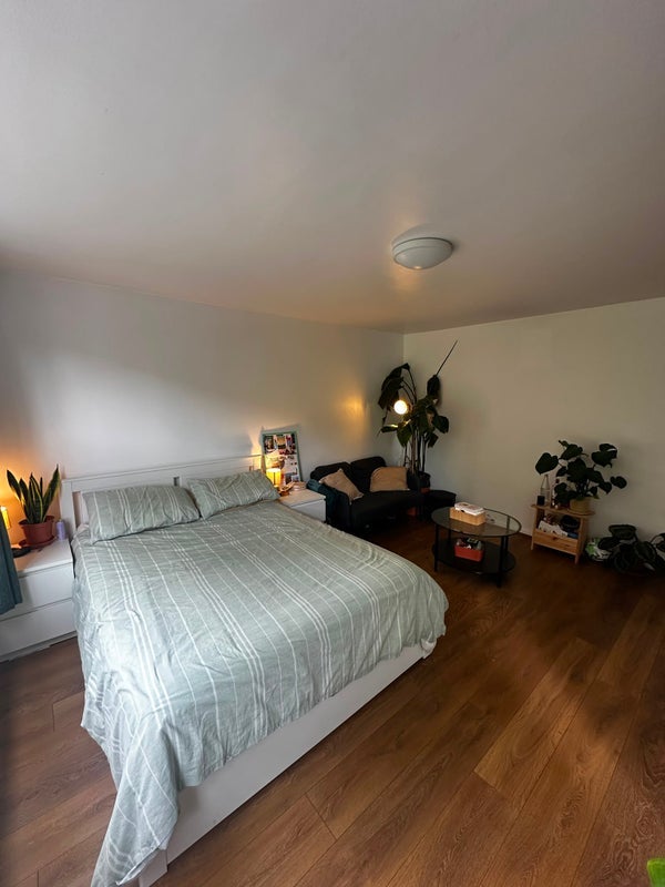 Room Donegal Street in Greater London