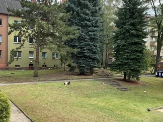 Wohnung Zobeltitzstraße in Berlin