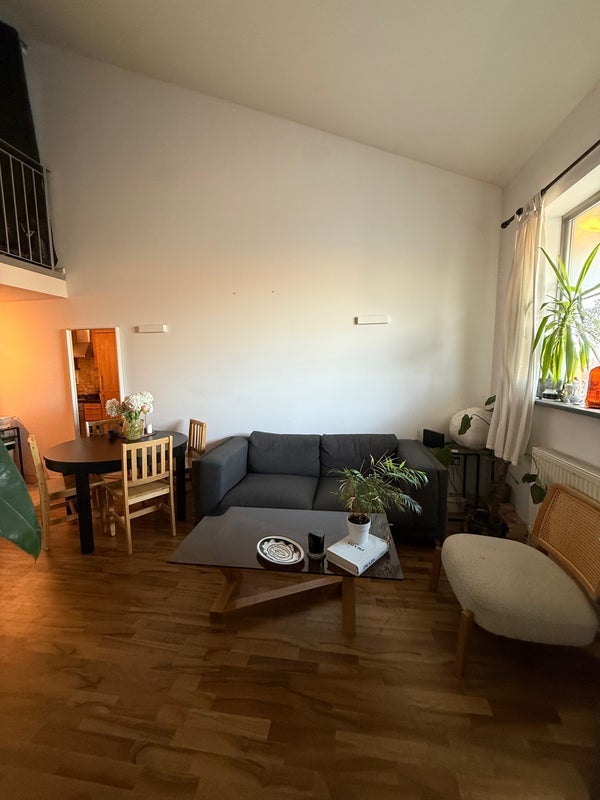 Room Shacklewell Row in Greater London