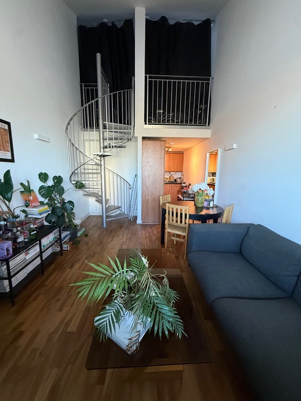 Room Shacklewell Row in Greater London