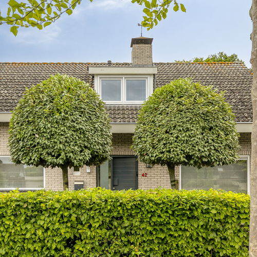Huis Amerstraat 42 in Terneuzen