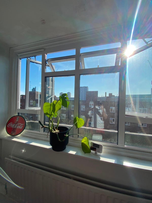 Room Fairfield Drive in Greater London