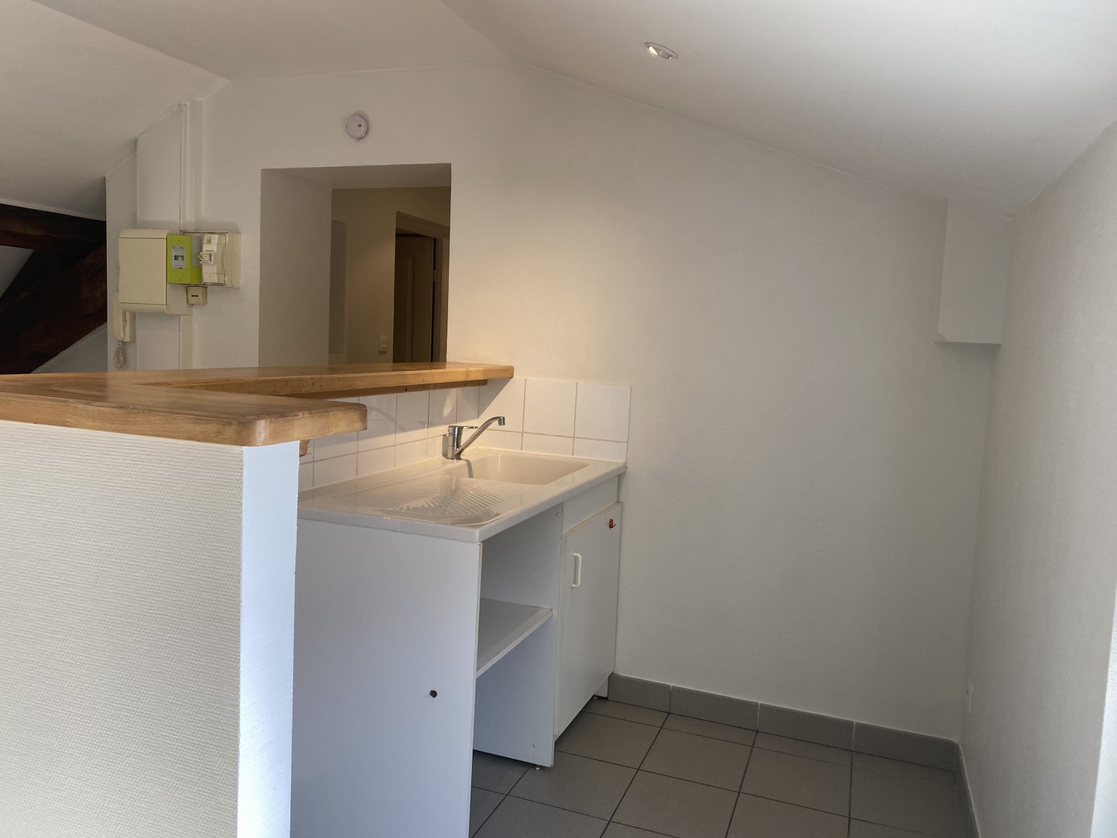 Appartement Avenue Berthelot à Lyon