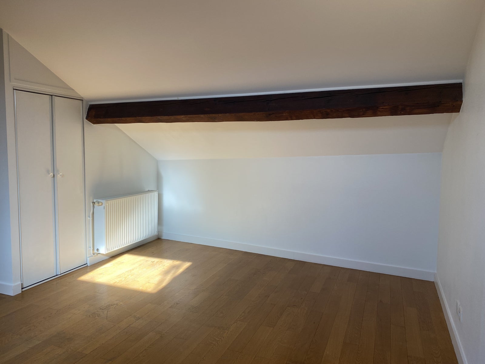 Appartement Avenue Berthelot à Lyon
