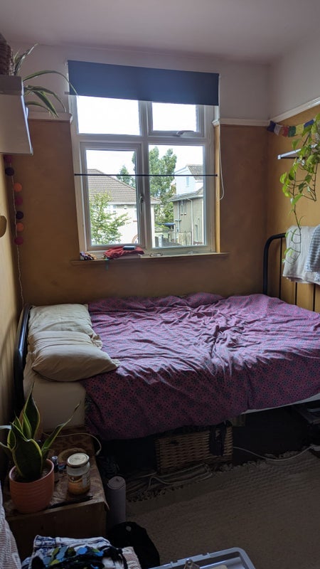 Room Monks Park Avenue in Bristol