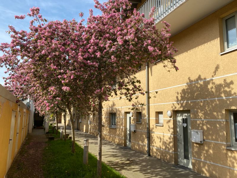 Wohnung Bismarckstraße in Gelsenkirchen