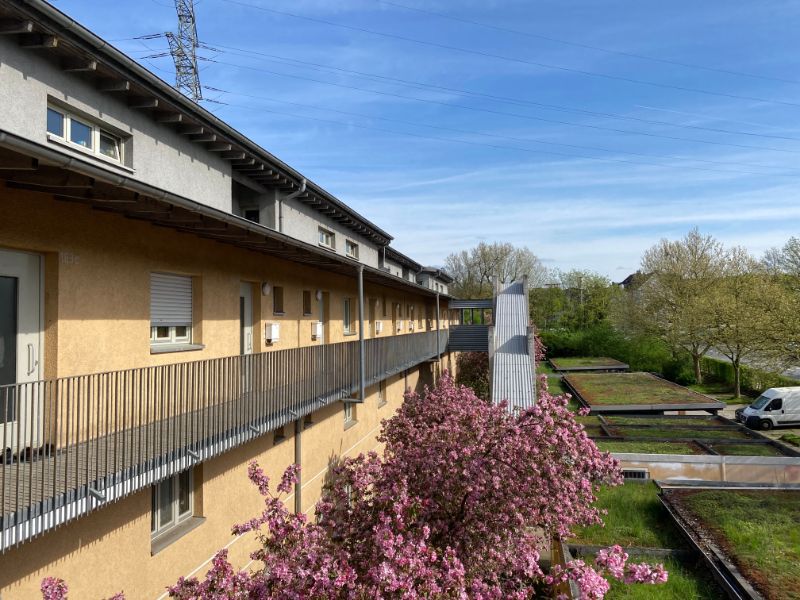 Wohnung Bismarckstraße in Gelsenkirchen