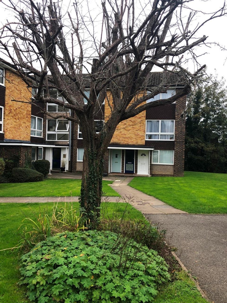 Flat Warren Down in Bracknell