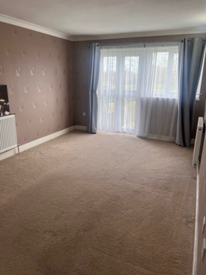 Flat Red Willow in Harlow