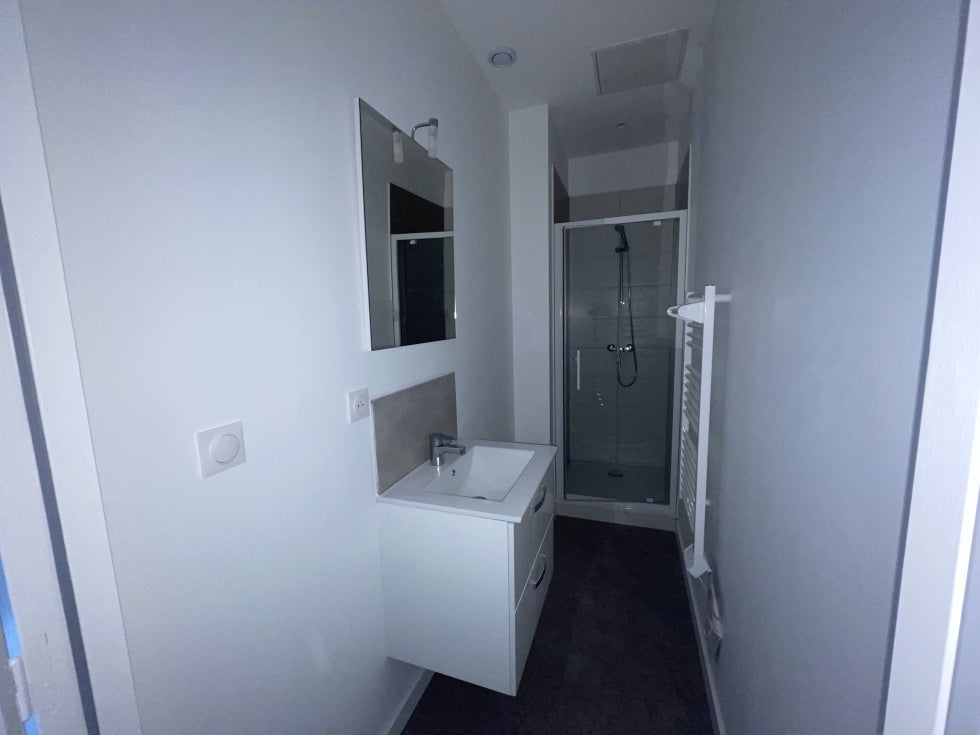 Appartement Rue Calixte Plotton à Saint-Étienne