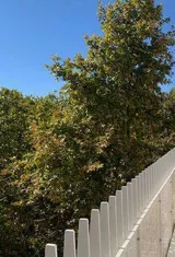Appartement Quai d'Issy-les-Moulineaux à Paris