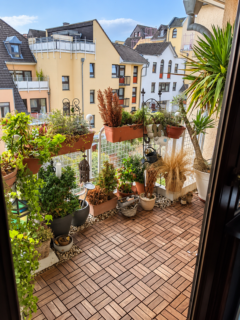 Wohnung Frongasse in Remagen