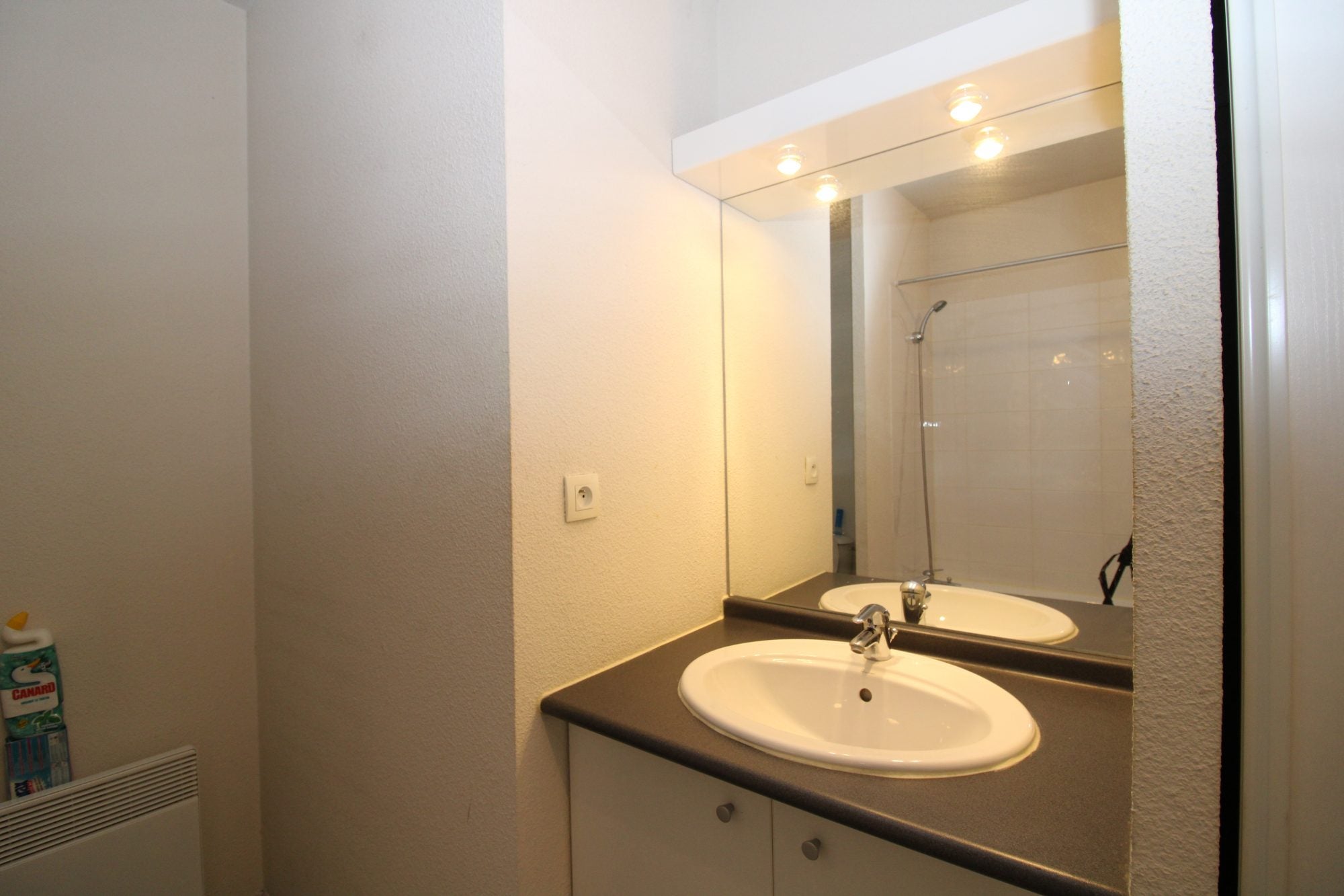 Appartement Allée de Brienne à Toulouse