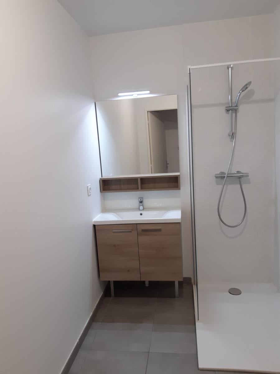 Appartement Rue Colonel Arnaud Beltrame à Lyon