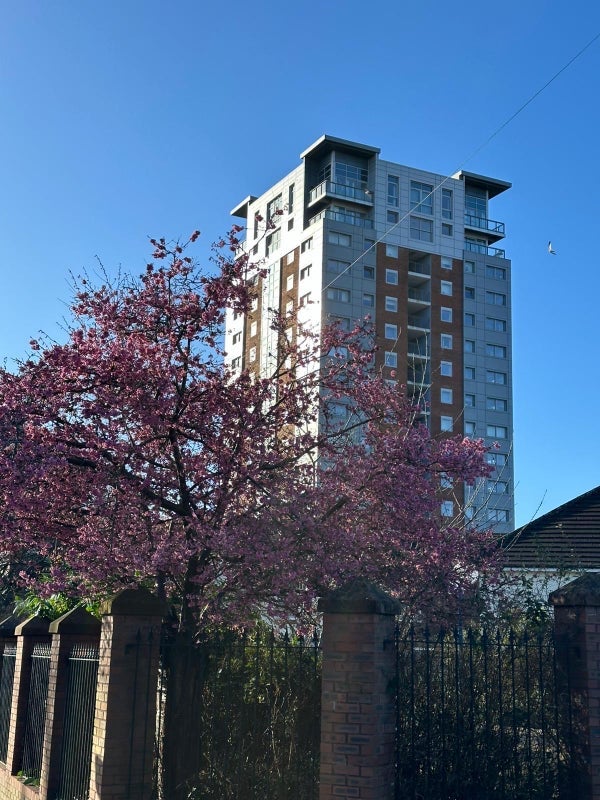 Flat Greenheys Road in Liverpool