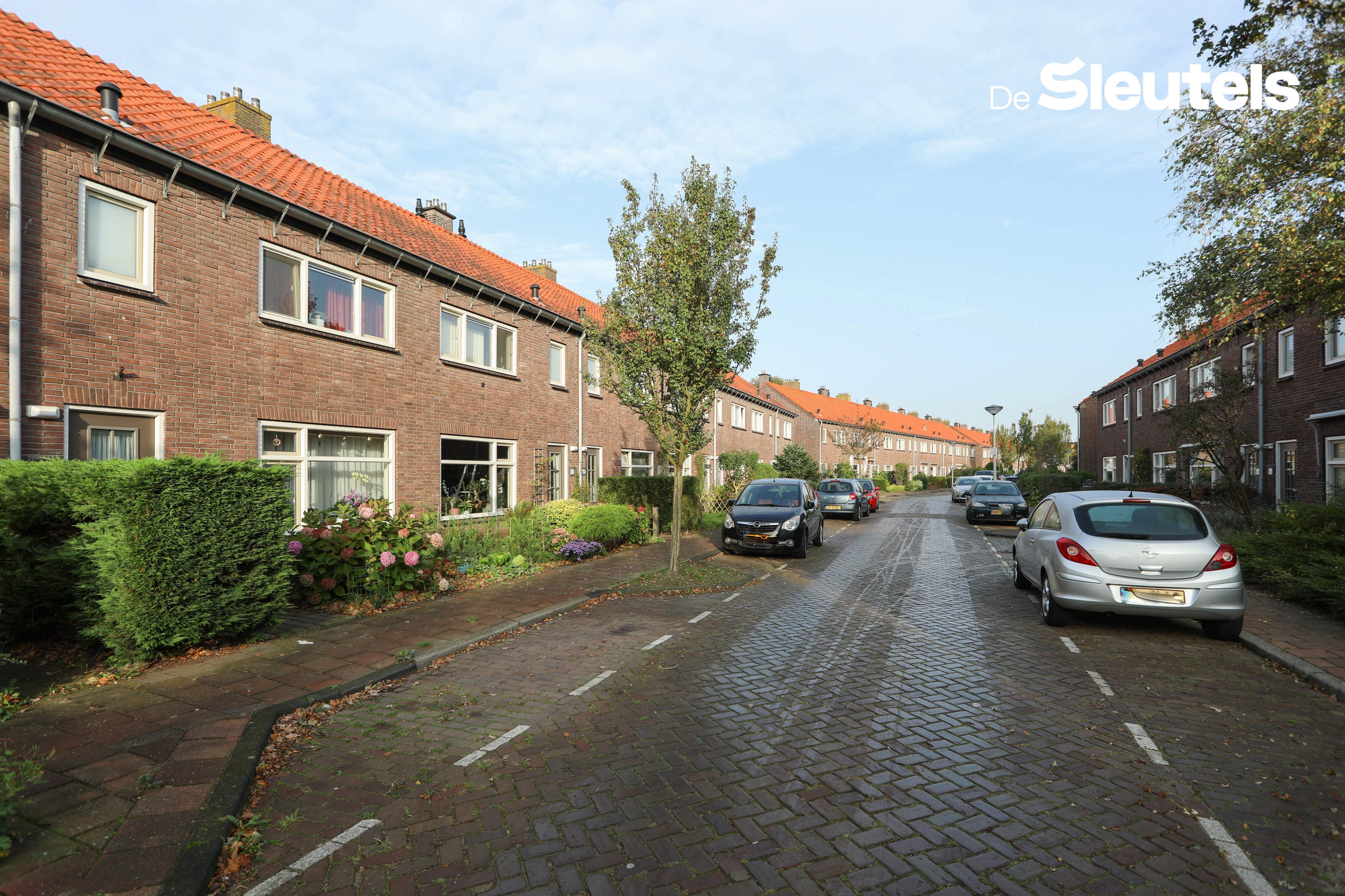 Huis Druivenstraat 46 in Leiden