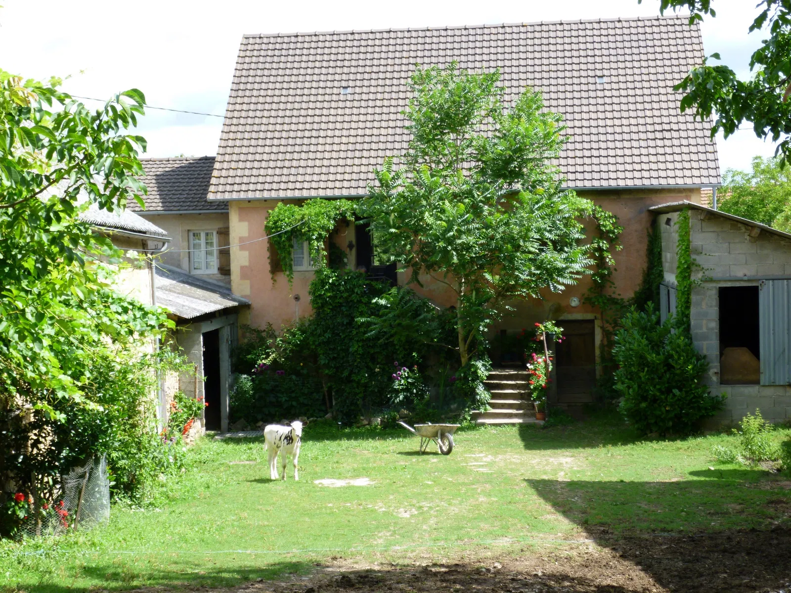 House Ruelle de Borredon in Pachins