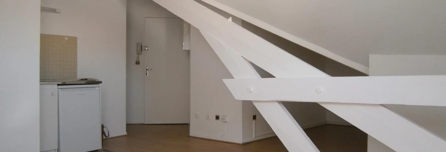 Flat Avenue Camille Pujol in Toulouse