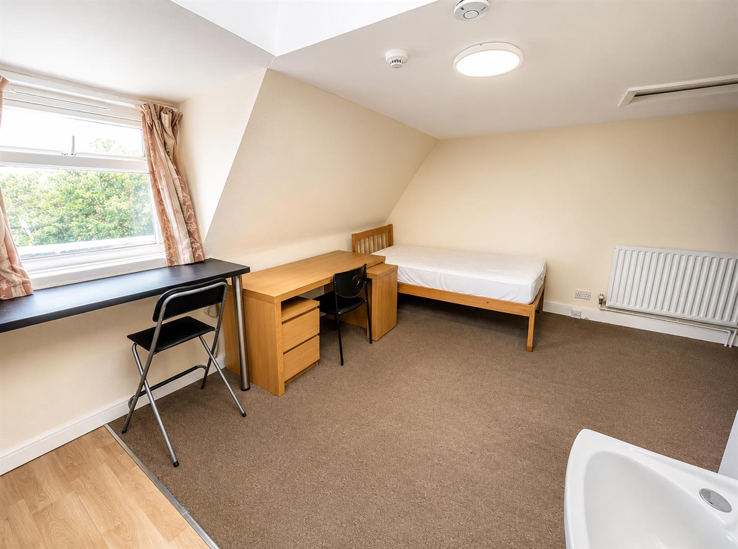 Room Dorset Gardens in Brighton