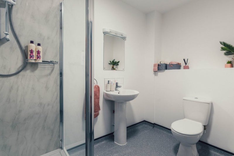 Room Millstone Lane in Leicester