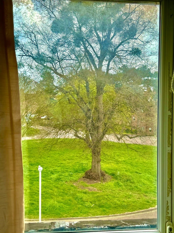 Room Perry Hill in Chelmsford