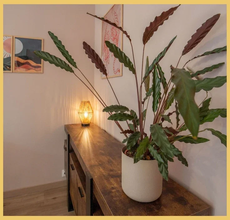 Flat Rue du Champ de la Vigne in Annecy