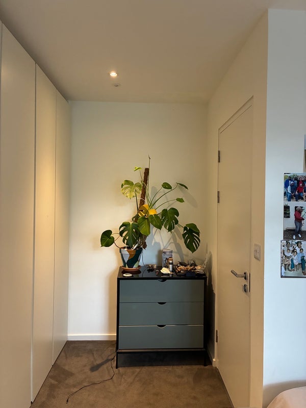 Room Honour Lea Avenue in Greater London