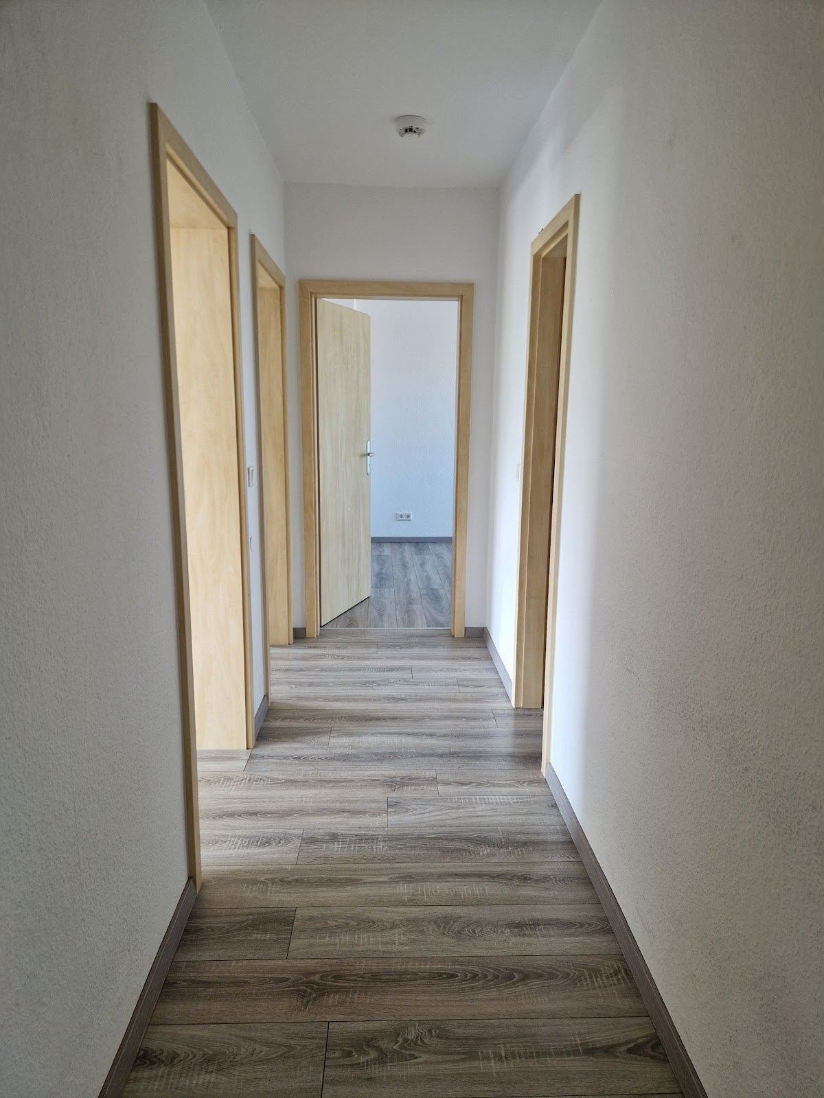 Haus Dessauer Straße in Wittenberg