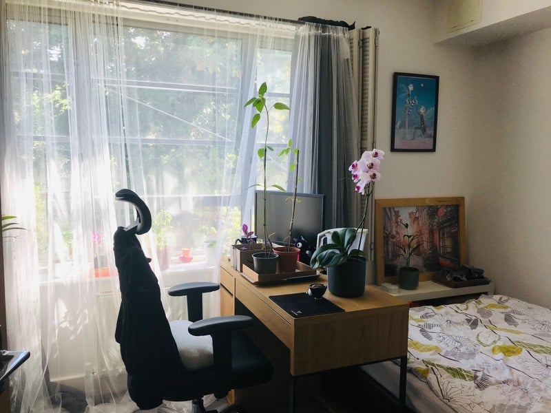 Room Heaven Tree Close in Greater London